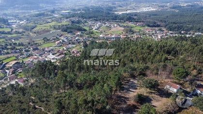 Terrenos e Quintas - Fotos para Terreno rústico, para venda, Braga - Mire de Tibães (A001-0231)