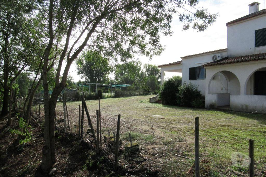 Terrenos Abrantes - Fotos para Abrantes-Quinta, para venda, Abrantes - Alvega e Concavada (2689)