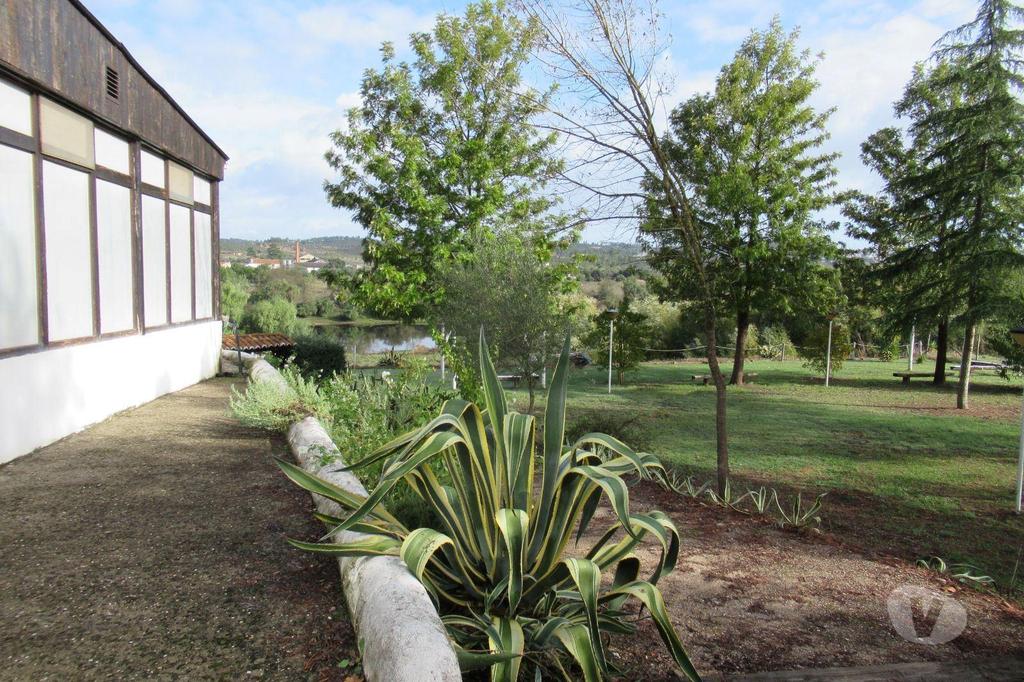Terrenos Abrantes - Fotos para Abrantes-Quinta, para venda, Abrantes - Alvega e Concavada (2689)