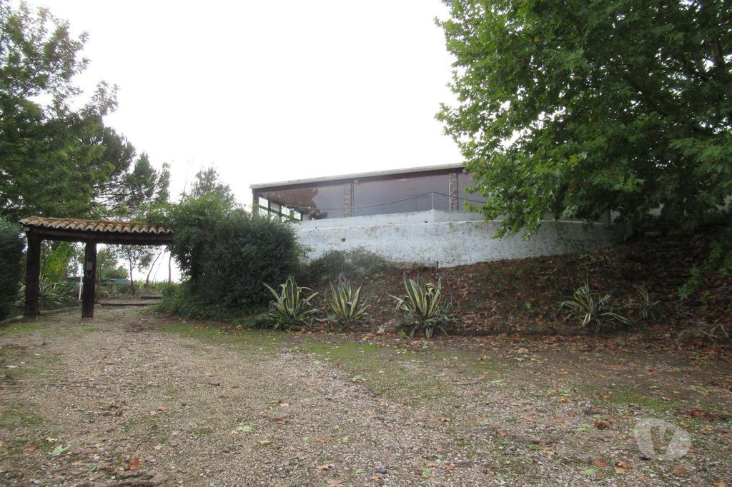 Terrenos Abrantes - Fotos para Abrantes-Quinta, para venda, Abrantes - Alvega e Concavada (2689)