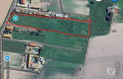 Terrenos e Quintas - Fotos para Terreno Agrícola c 10.760m2 - Atalaia Montijo (6-T-001022)