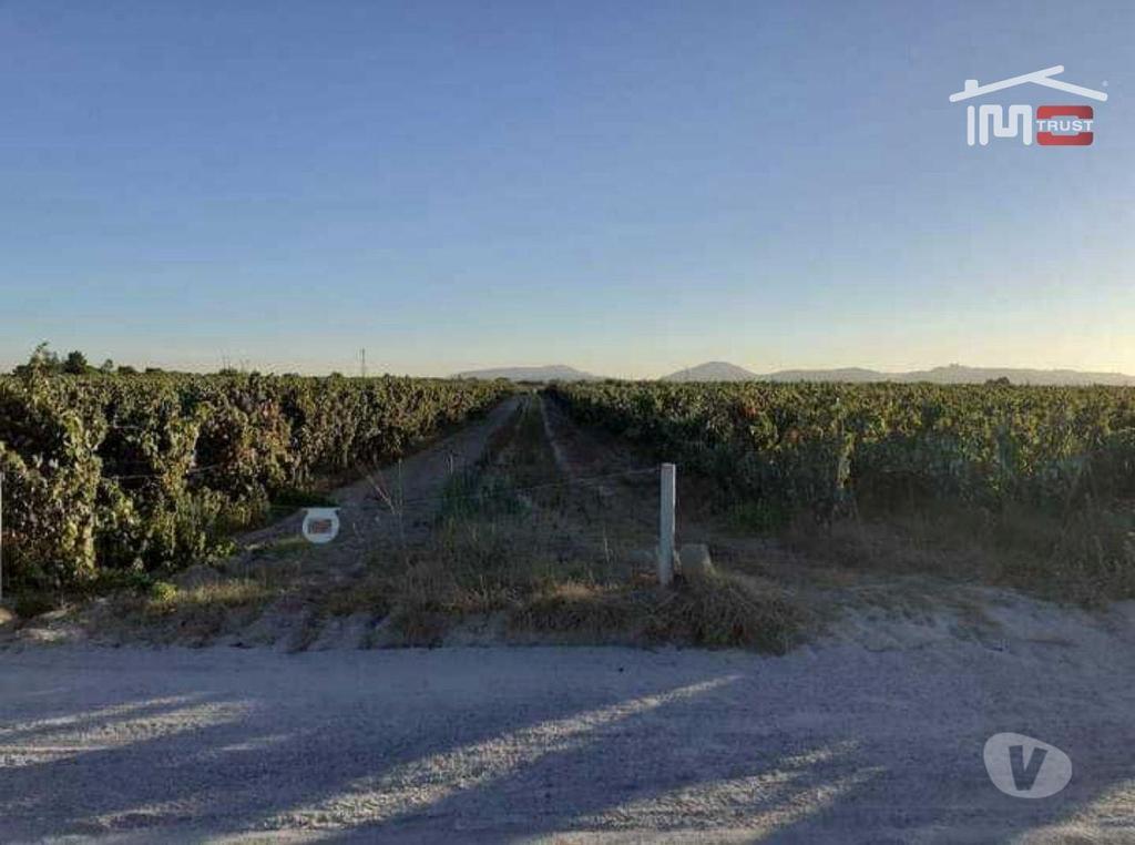 Terrenos Palmela - Fotos para Vende-se Terreno com 15.000m2 situado em Algeruz, Palmela