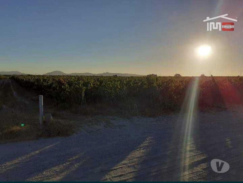 Terrenos Palmela - Fotos para Vende-se Terreno com 15.000m2 situado em Algeruz, Palmela