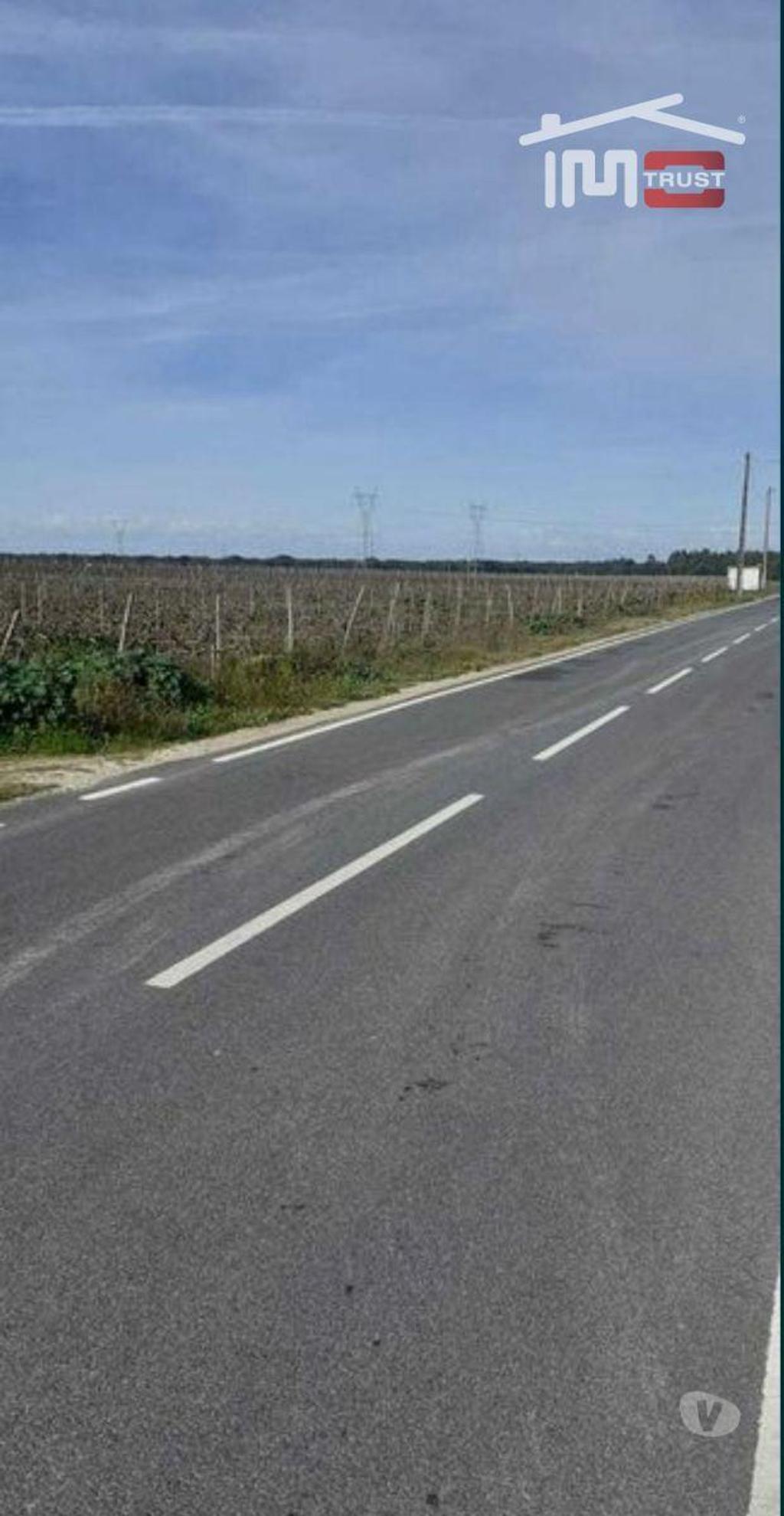 Terrenos Palmela - Fotos para Vende-se Terreno com 15.000m2 situado em Algeruz, Palmela