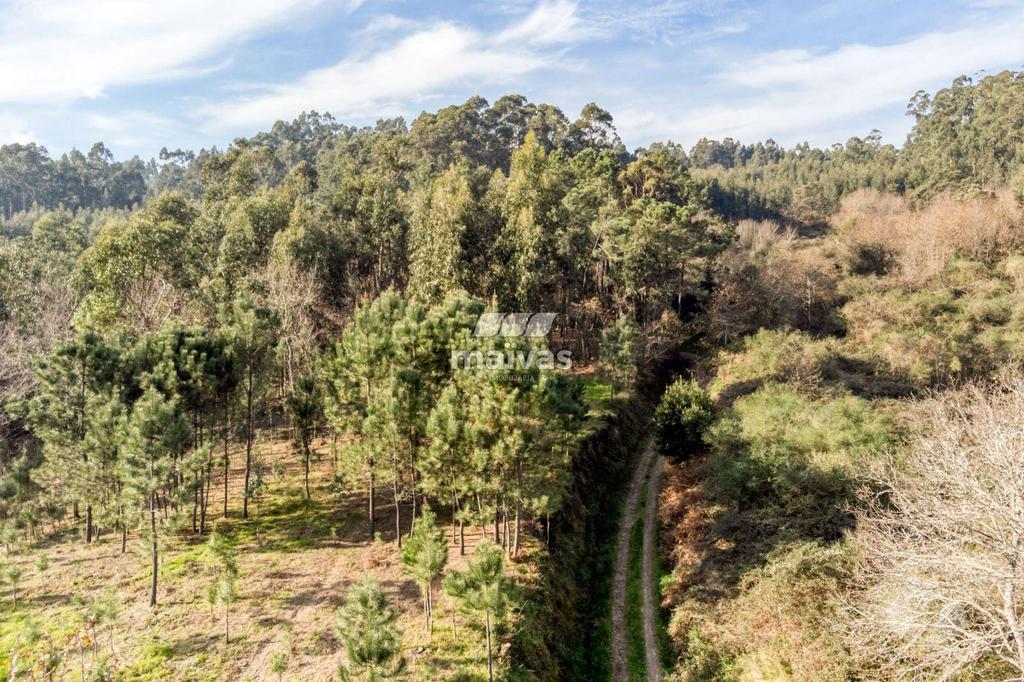 Terrenos Vila Verde - Fotos para Terreno rústico, para venda, Vila Verde - Esqueiros, Nevogilde e