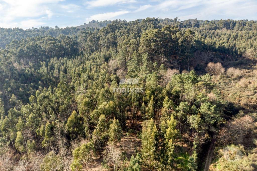 Terrenos Vila Verde - Fotos para Terreno rústico, para venda, Vila Verde - Esqueiros, Nevogilde e