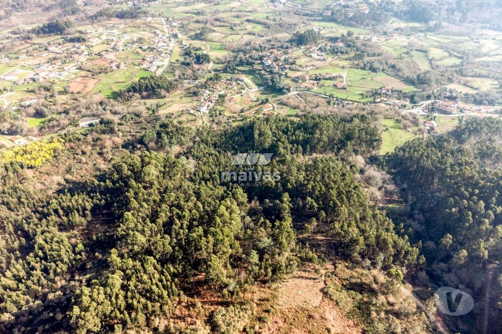Terrenos Vila Verde - Fotos para Terreno rústico, para venda, Vila Verde - Esqueiros, Nevogilde e