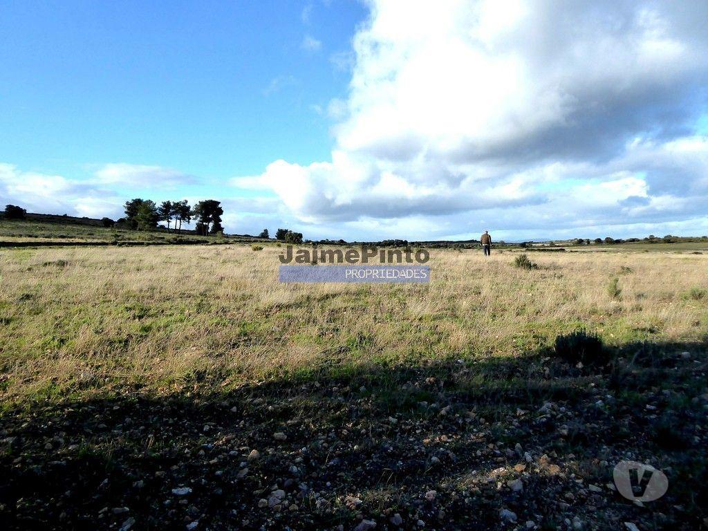 Terrenos Figueira de Castelo Rodrigo - Fotos para Terreno 210 000m2 p novas plantações, F. C. Rodrigo. Portugal,