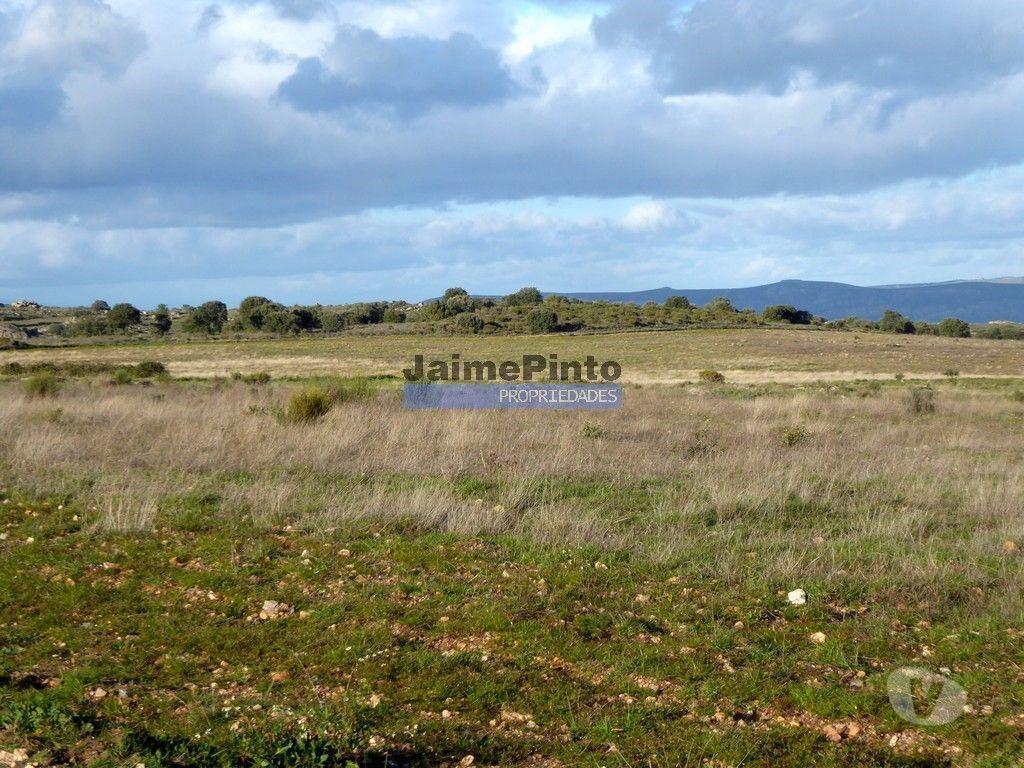 Terrenos Figueira de Castelo Rodrigo - Fotos para Terreno 210 000m2 p novas plantações, F. C. Rodrigo. Portugal,