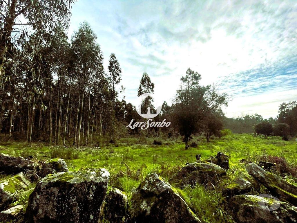 Terrenos Barcelos - Fotos para Barcelos-Terreno para construção em Barcelos (265-T-01446)