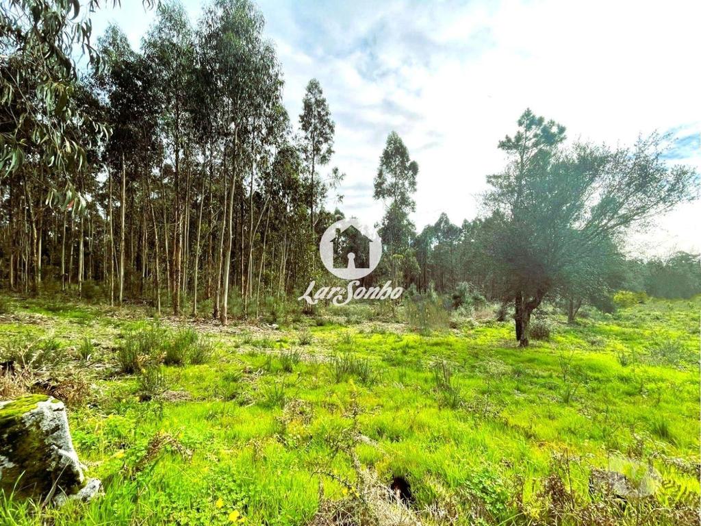 Terrenos Barcelos - Fotos para Barcelos-Terreno para construção em Barcelos (265-T-01446)