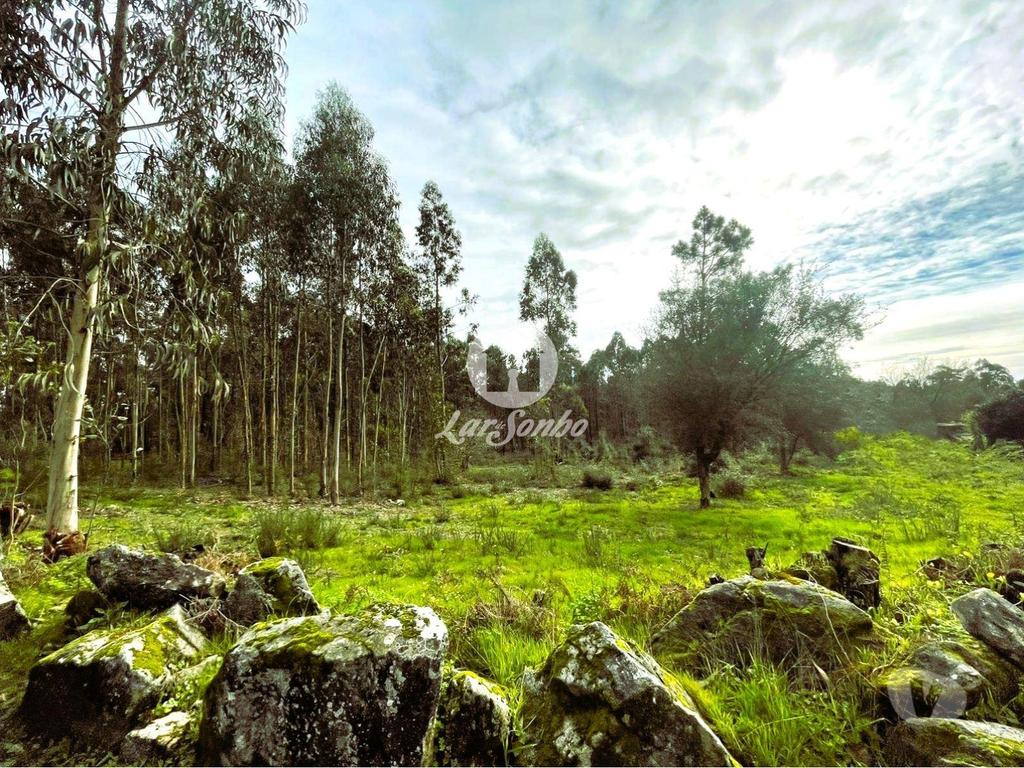 Terrenos Barcelos - Fotos para Barcelos-Terreno para construção em Barcelos (265-T-01446)