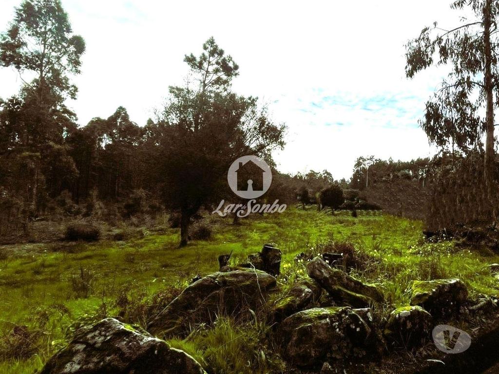 Terrenos Barcelos - Fotos para Barcelos-Terreno para construção em Barcelos (265-T-01446)