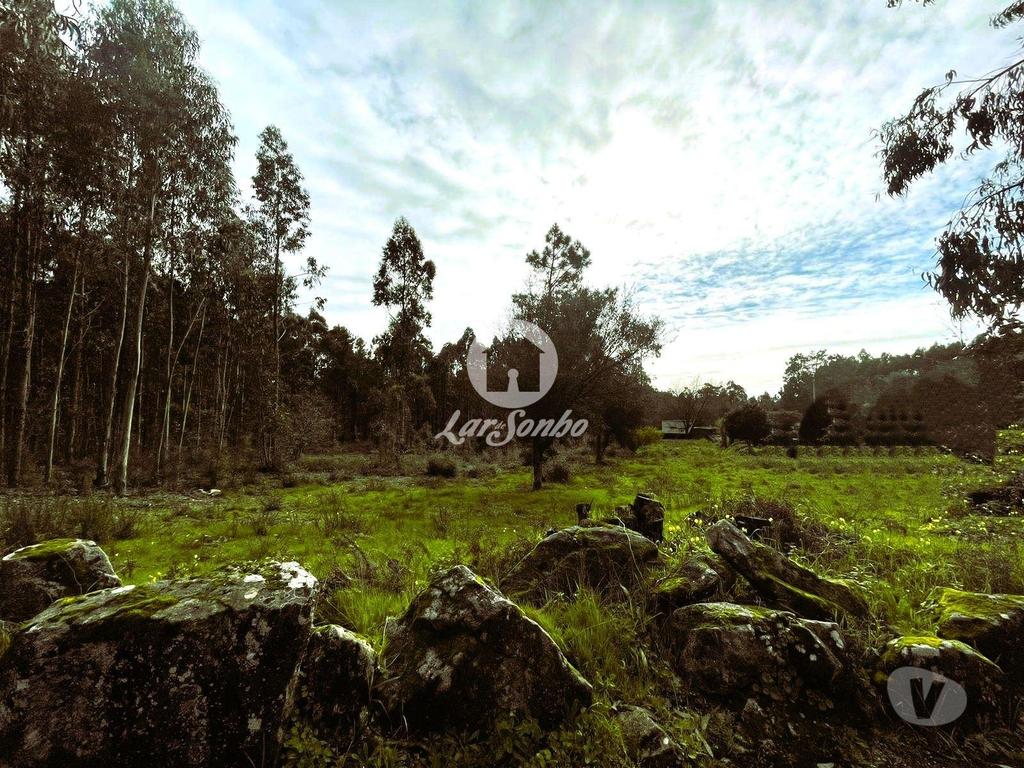 Terrenos Barcelos - Fotos para Barcelos-Terreno para construção em Barcelos (265-T-01446)