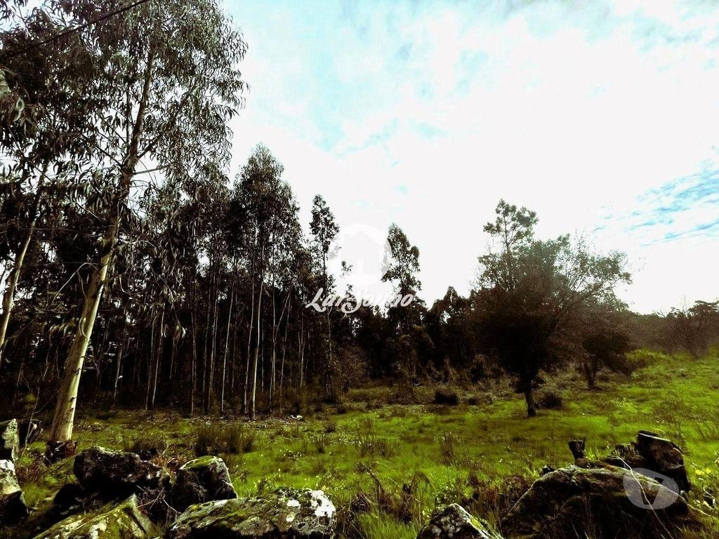 Terrenos Barcelos - Fotos para Barcelos-Terreno para construção em Barcelos (265-T-01446)