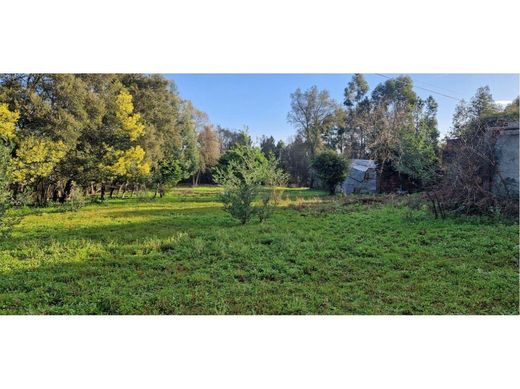 Terrenos Mealhada - Fotos para Terreno p moradia, para venda, Mealhada - Mealhada, Ventosa do