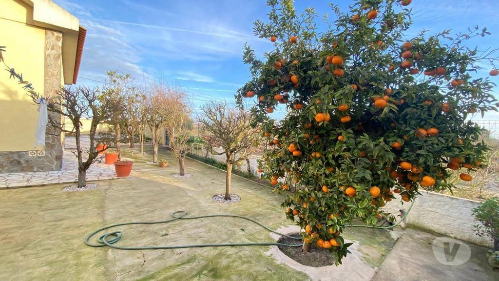 Apartamentos a venda Palmela - Fotos para Palmela-MORADIA EM ARRAIADOS PINHAL NOVO (259)