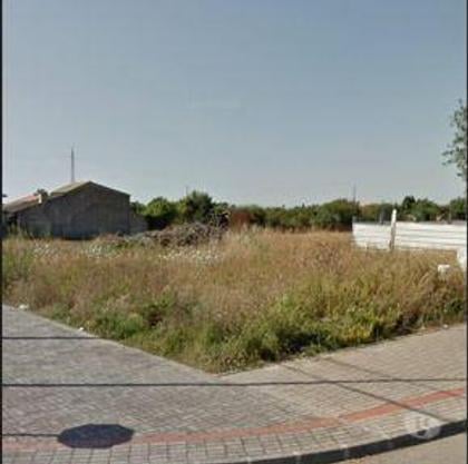 Terrenos - Fotos para Terreno para construção de moradia em São Bernardo Aveiro