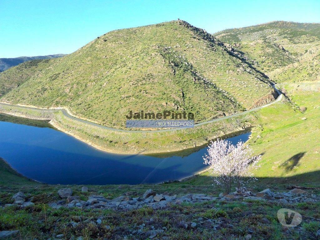Terrenos Alfândega da Fé - Fotos para 5,99ha terra p construção Casa ou Hotel e agricultura.