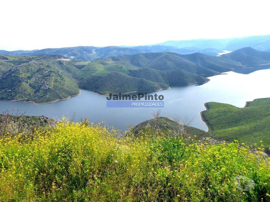 Terrenos Alfândega da Fé - Fotos para 5,99ha terra p construção Casa ou Hotel e agricultura.