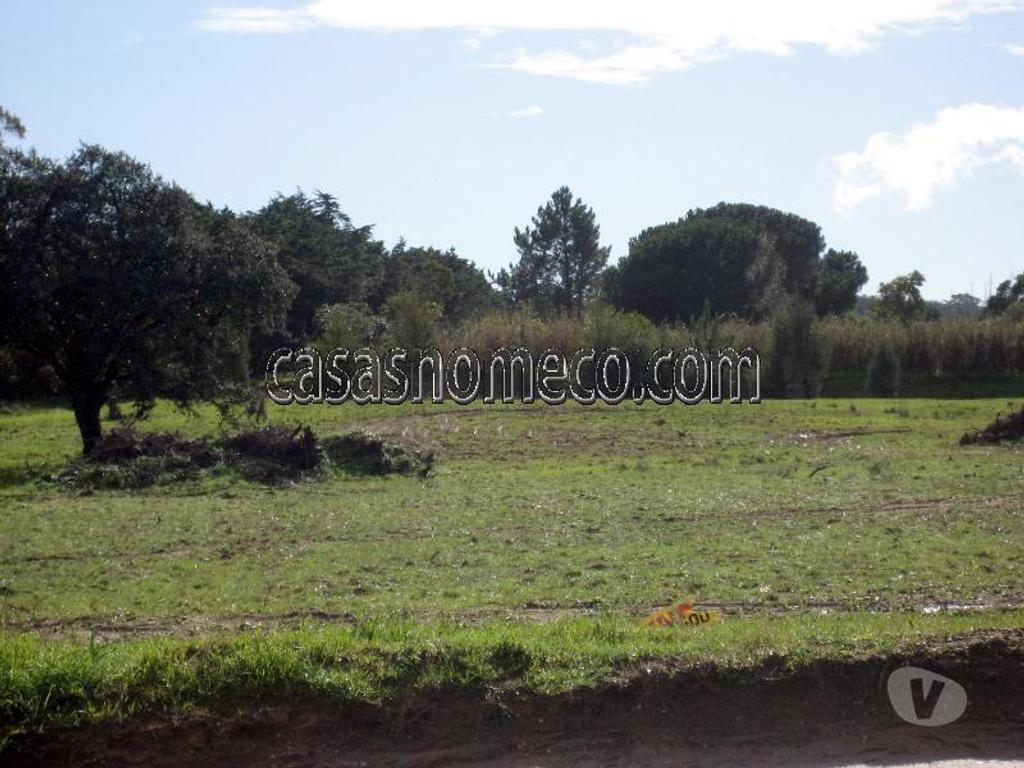 Terrenos Sesimbra - Fotos para Sesimbra-Maçã - Sesimbra (2205)