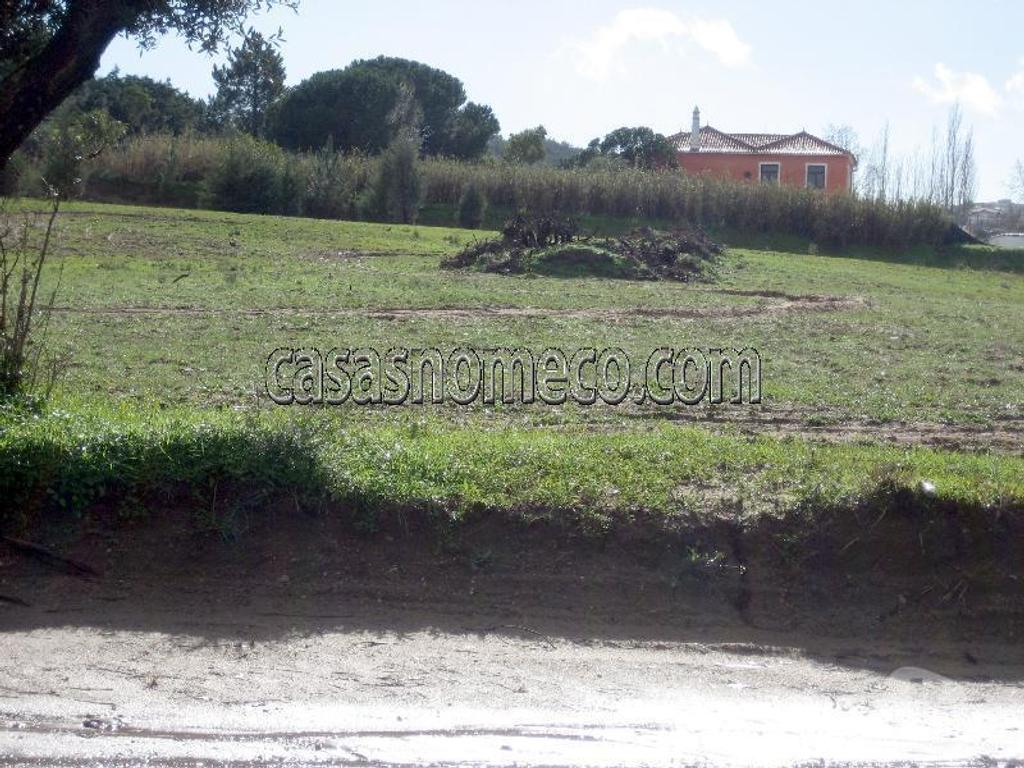 Terrenos Sesimbra - Fotos para Sesimbra-Maçã - Sesimbra (2205)
