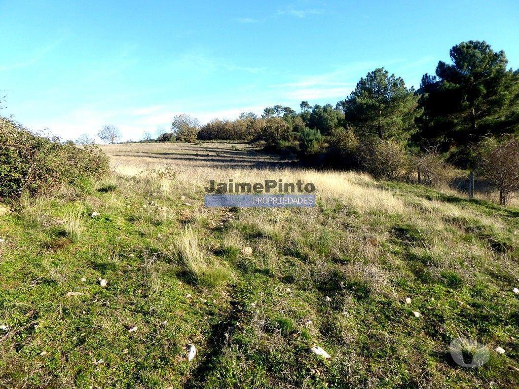 Terrenos Figueira de Castelo Rodrigo - Fotos para 163.000m2 terra p plantações novas. Portugal, Douro Interior,