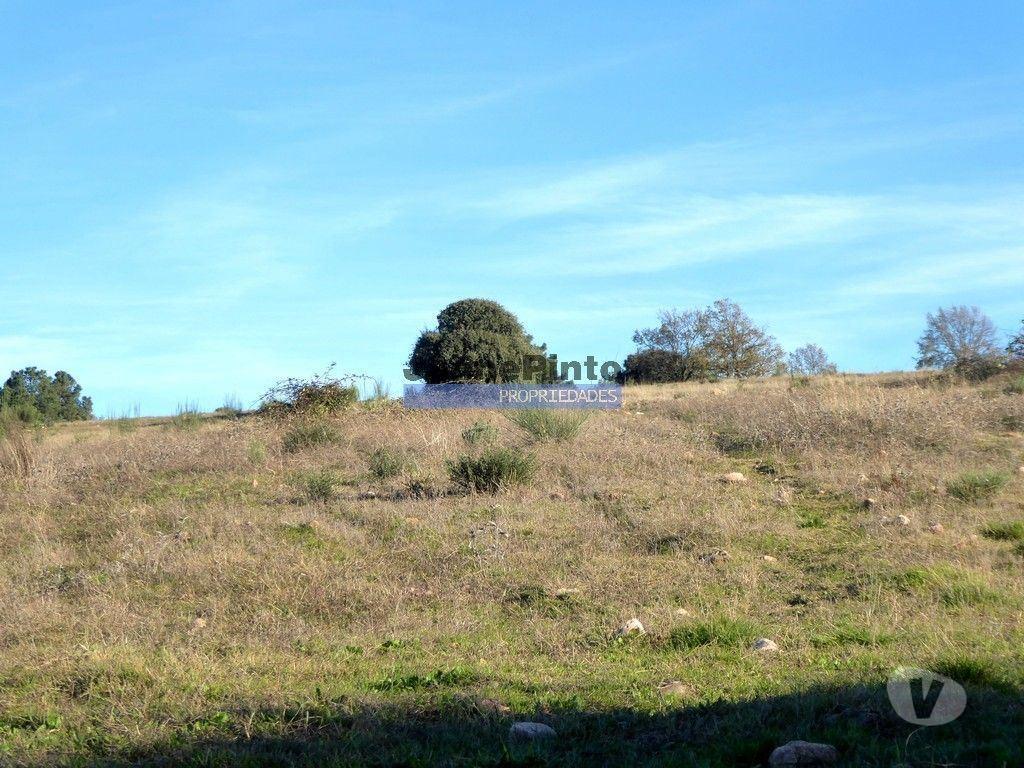 Terrenos Figueira de Castelo Rodrigo - Fotos para 163.000m2 terra p plantações novas. Portugal, Douro Interior,