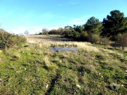 Terrenos e Quintas - Fotos para 163.000m2 terra p plantações novas. Portugal, Douro Interior,