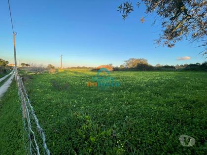 Terrenos - Fotos para Terreno em espaço agrícola florestal, vista de mar! (0000003261)