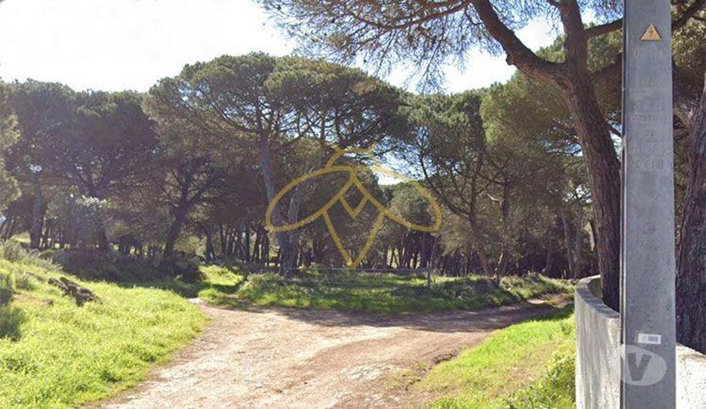 Terrenos Sintra - Fotos para Terreno Rústico com furo de água com 2840m2 Pernigem - Sintra