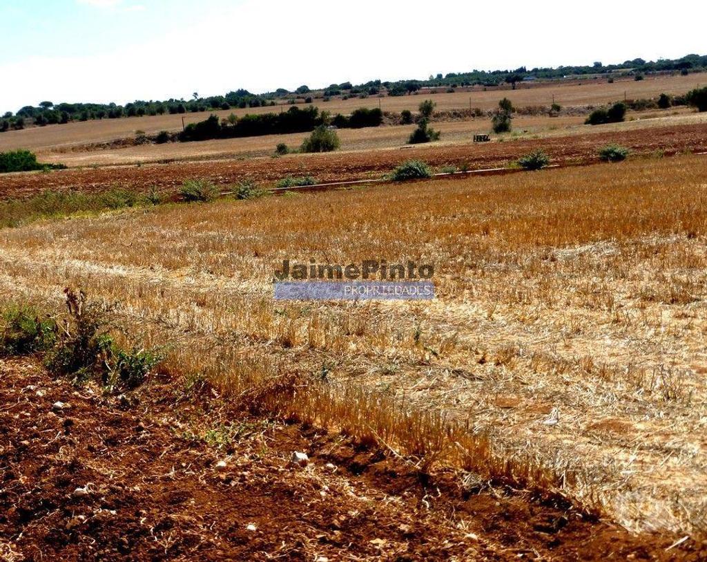 Terrenos Figueira de Castelo Rodrigo - Fotos para 30ha terra agrícola com água. Portugal, Figueira de Castelo