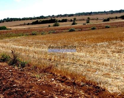 Terrenos a venda - Fotos para 30ha terra agrícola com água. Portugal, Figueira de Castelo