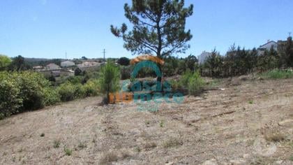 Terrenos e Quintas - Fotos para Sesimbra-5.500m2 (2932)