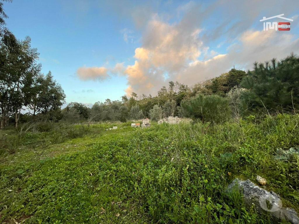 Terrenos Ourém - Fotos para Ourem-Terreno Rustico á entrada de Fátima (3-T-000106)