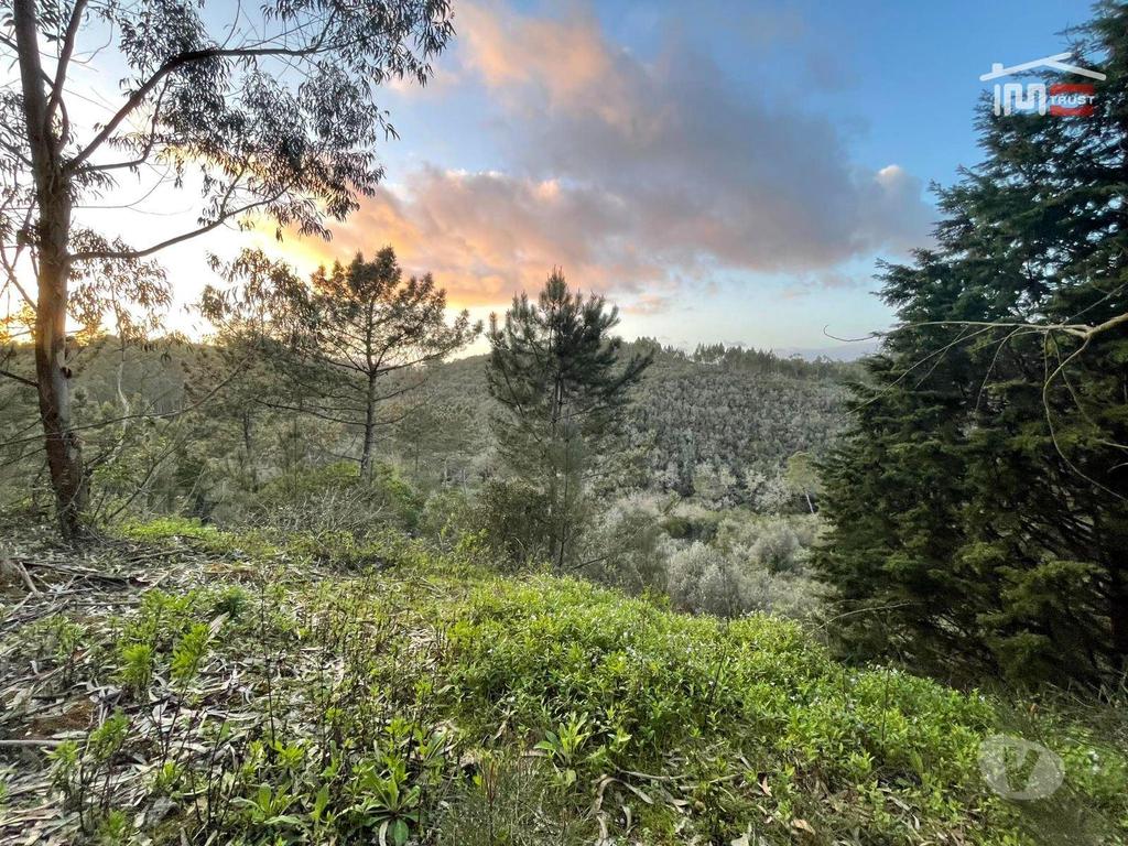 Terrenos Ourém - Fotos para Ourem-Terreno Rustico á entrada de Fátima (3-T-000106)