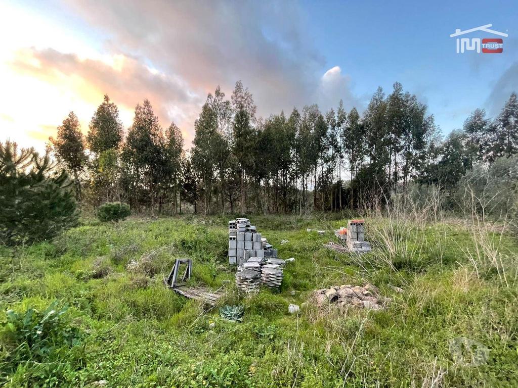 Terrenos Ourém - Fotos para Ourem-Terreno Rustico á entrada de Fátima (3-T-000106)