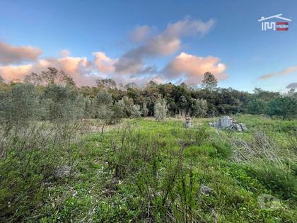 Terrenos - Fotos para Ourem-Terreno Rustico á entrada de Fátima (3-T-000106)