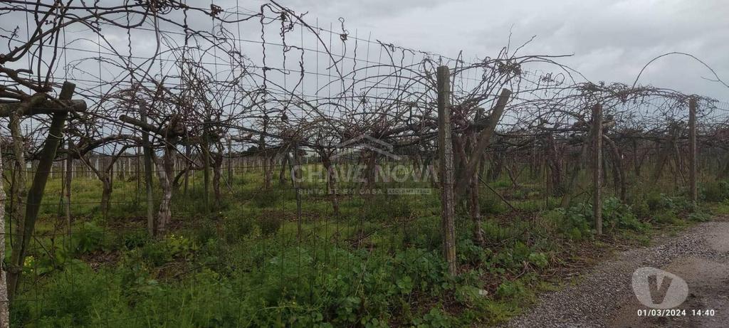 Terrenos Oliveira do Bairro - Fotos para Terreno com 4195m2 em Oiã, Oliveira do Bairro (AVR 00463)