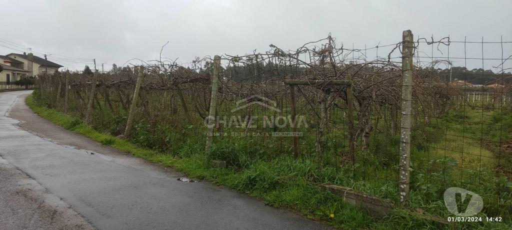 Terrenos Oliveira do Bairro - Fotos para Terreno com 4195m2 em Oiã, Oliveira do Bairro (AVR 00463)