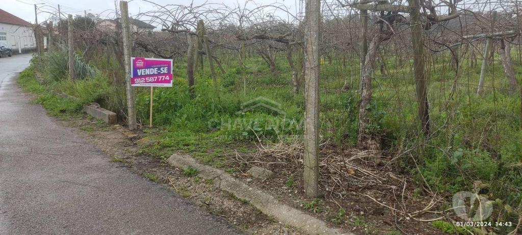 Terrenos Oliveira do Bairro - Fotos para Terreno com 4195m2 em Oiã, Oliveira do Bairro (AVR 00463)