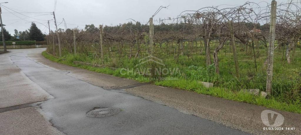 Terrenos Oliveira do Bairro - Fotos para Terreno com 4195m2 em Oiã, Oliveira do Bairro (AVR 00463)