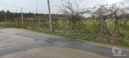 Terrenos - Fotos para Terreno com 4195m2 em Oiã, Oliveira do Bairro (AVR 00463)