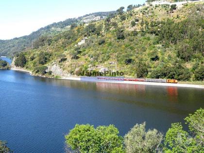 Apartamentos a venda - Fotos para Moradia de Excelência, V3, vista rio Douro. Portugal, Resende,