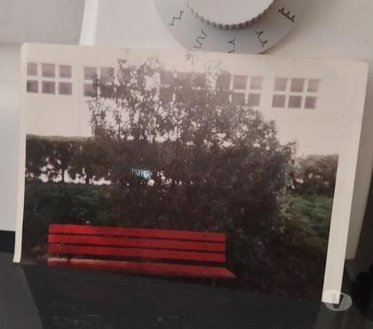Decoração e Texteis - Fotos para Fotografia tirada por Tânia Jorge 