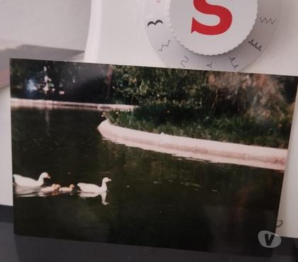 Decoração e Texteis - Fotos para Fotografia tirada por Tânia Jorge 