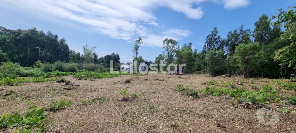 Terrenos Vila Nova de Gaia - Fotos para Excelente Terreno Construção- Vila Nova de Gaia (00254)