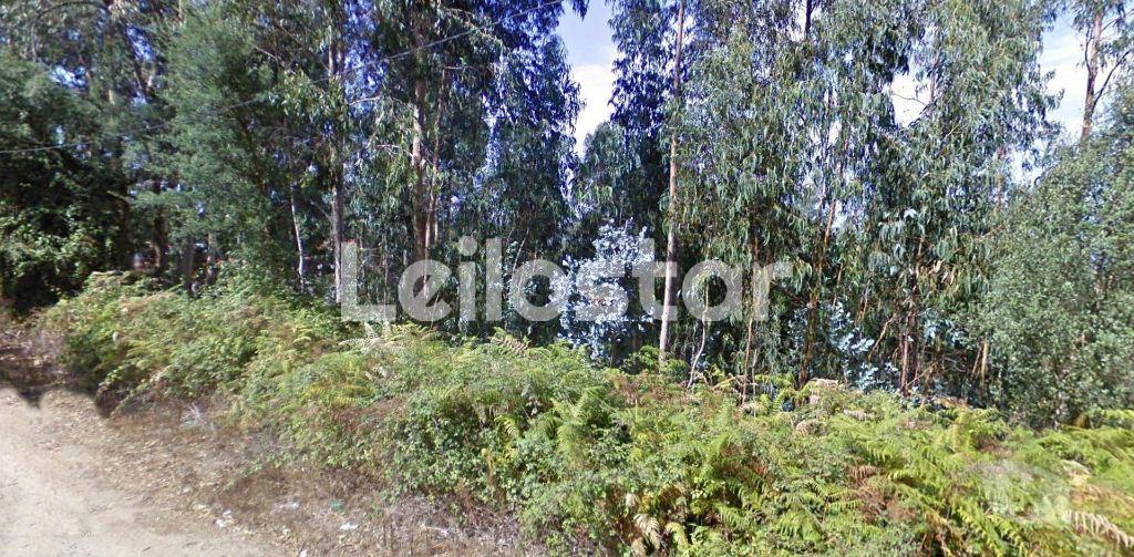 Terrenos Vila Nova de Gaia - Fotos para Terreno em Zona de Construção - Crestuma V. N. de Gaia. (00041)