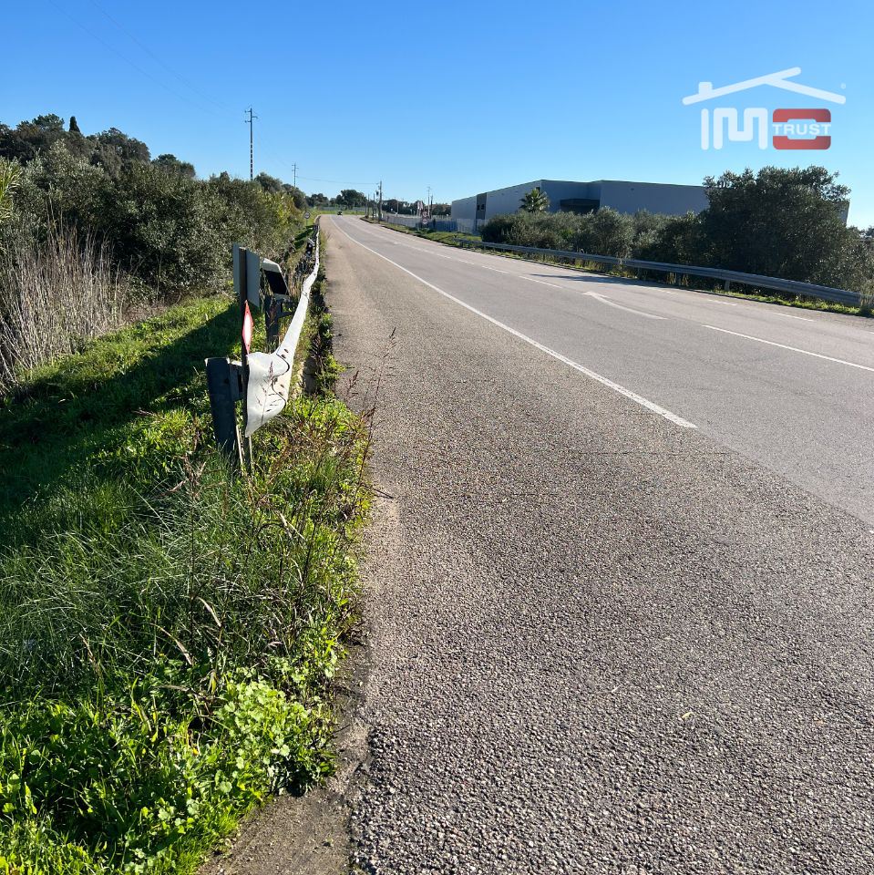 Terrenos e Quintas - Fotos para Torres-novas-Terreno Rústico na Zibreira (7-T-000065)