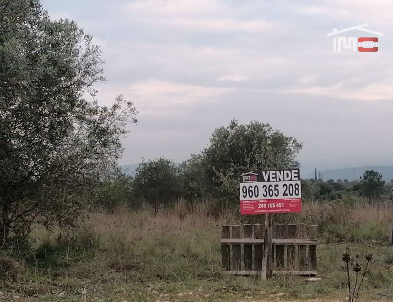 Terrenos Torres Novas - Fotos para Torres-novas-Terreno Rústico na Zibreira (7-T-000065)